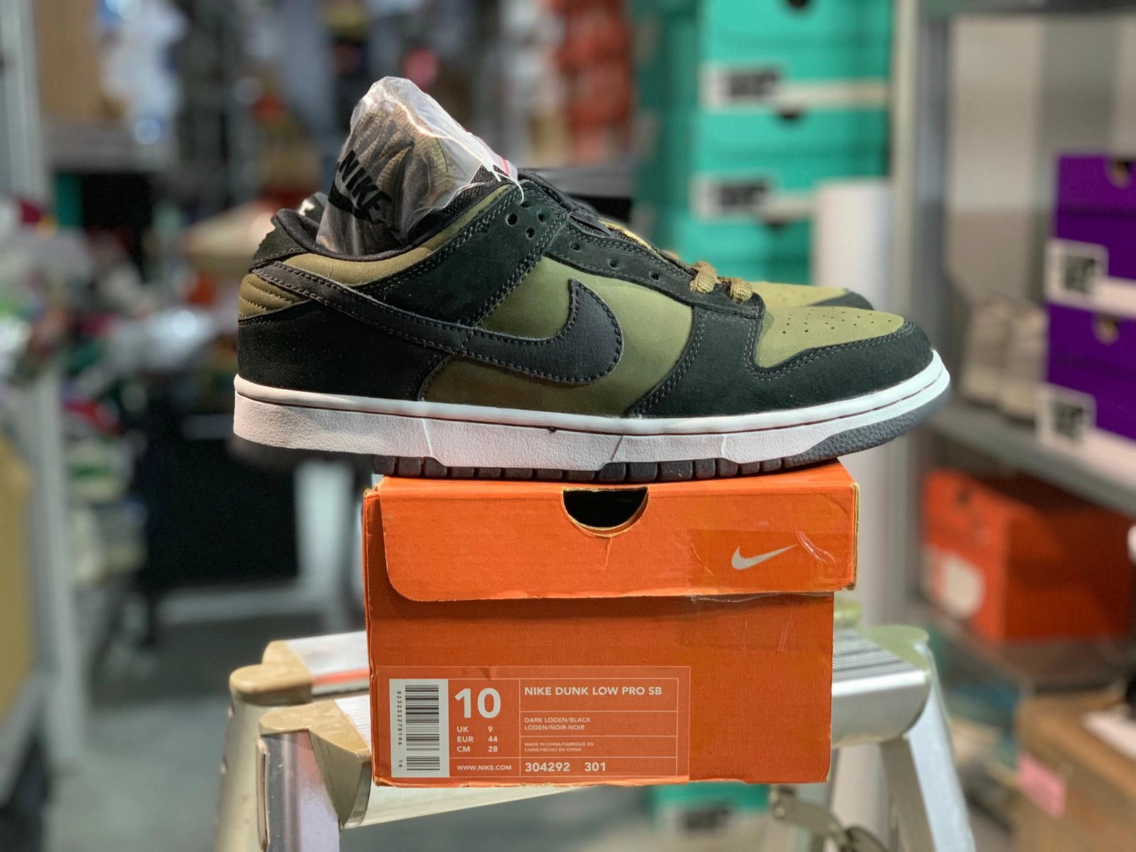 Functional Look DS 2002' 1st Gen Nike Dunk Low Pro SB LODEN