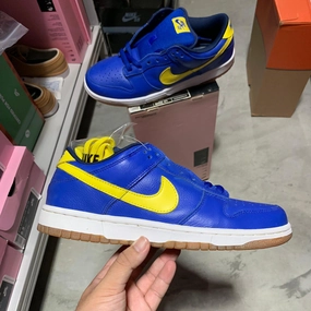 Core Motion DS 2005' Nike Dunk Low Pro SB BOCA