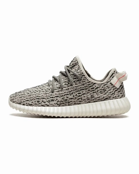 Adidas Yeezy Boost 350 Turtledove All Day Long Campus Fit