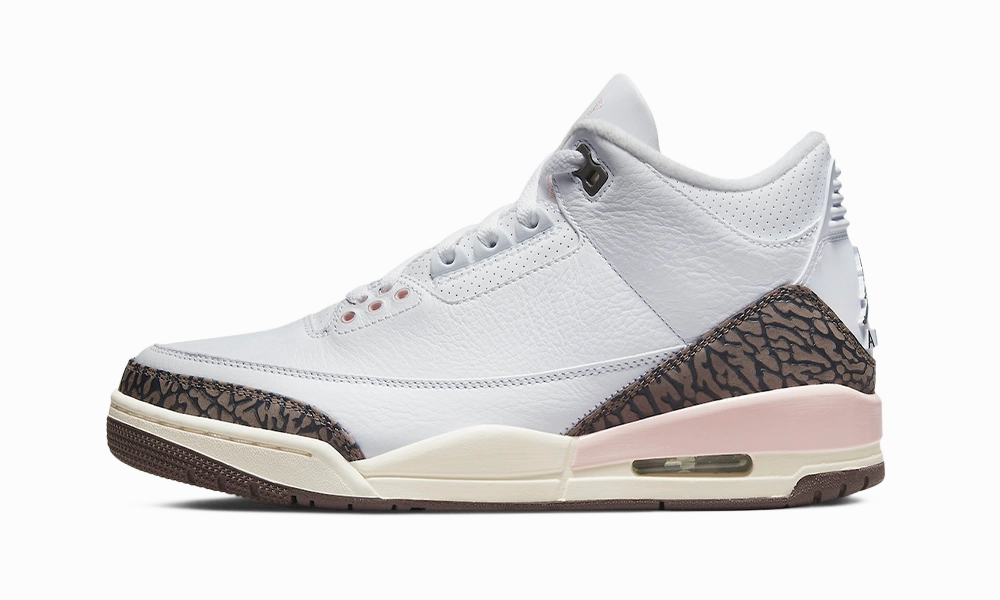 Every Walk Air Jordan 3 Retro Neapolitan Dark Mocha