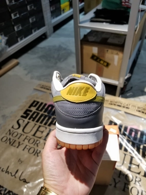 Support Sole Dynamic Step DS 2002' Nike Dunk Low Pro B GRAPH CAMPER