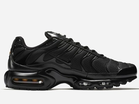 Layered Design Nike Airmax Plus TN