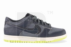 Nike Dunk Low "Swoosh Shadow Iron Grey" Foot Care Performance Support