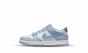 All-Weather Design Low Comfort Nike Dunk Low Next Nature Blue Whisper (GS)