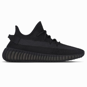 Yeezy Boost 350 V2 'Onyx' Petal Hike