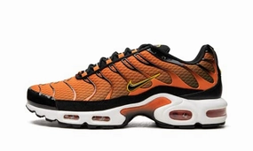 Sport Influence Nike Mens Air Max Plus