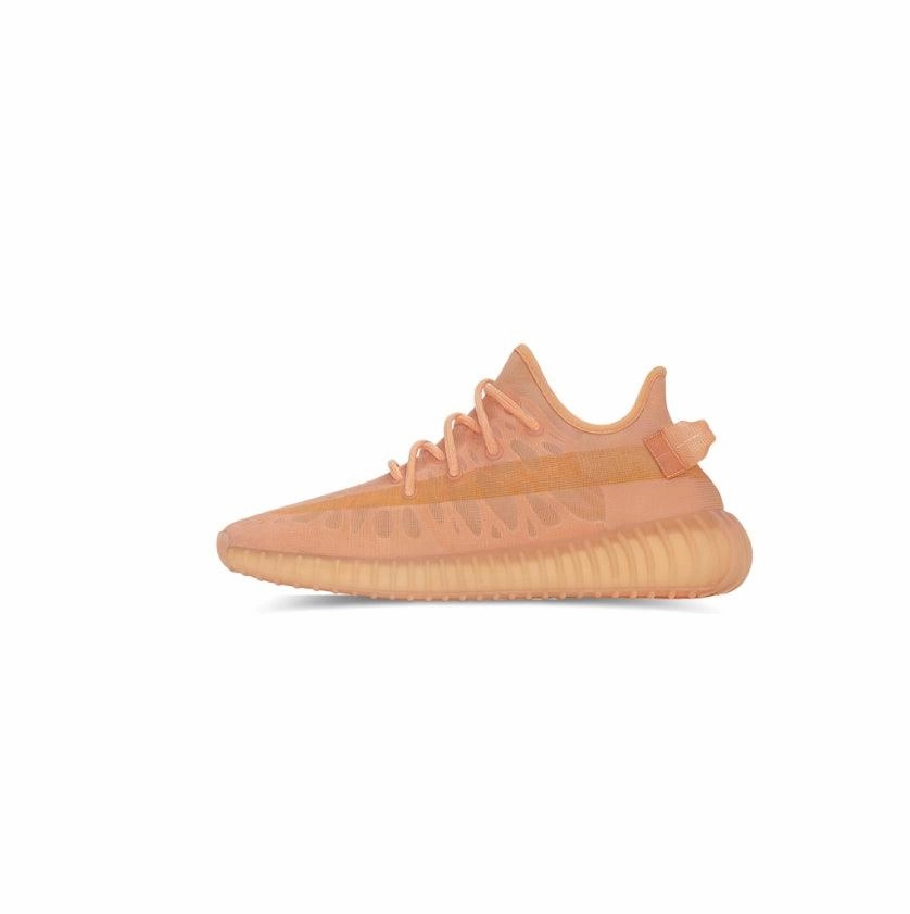 Campus Tour Ice Walk Yeezy Boost 350 V2 'Mono Clay'