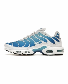 thermal shoes running in a dam area shoes Nike Air Max Plus Sky Blue