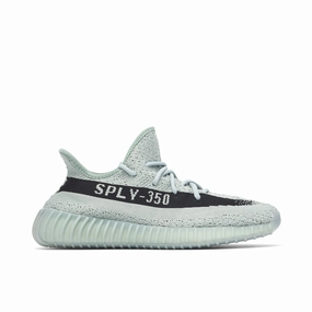 Yeezy Boost 350 V2 Salt Strike Step