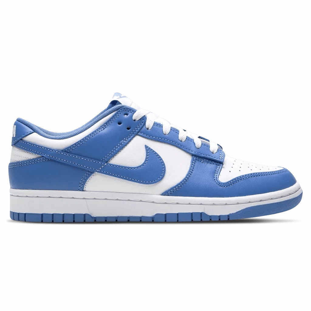 rainy day running shoe state Nike Dunk Low 'Polar Blue'