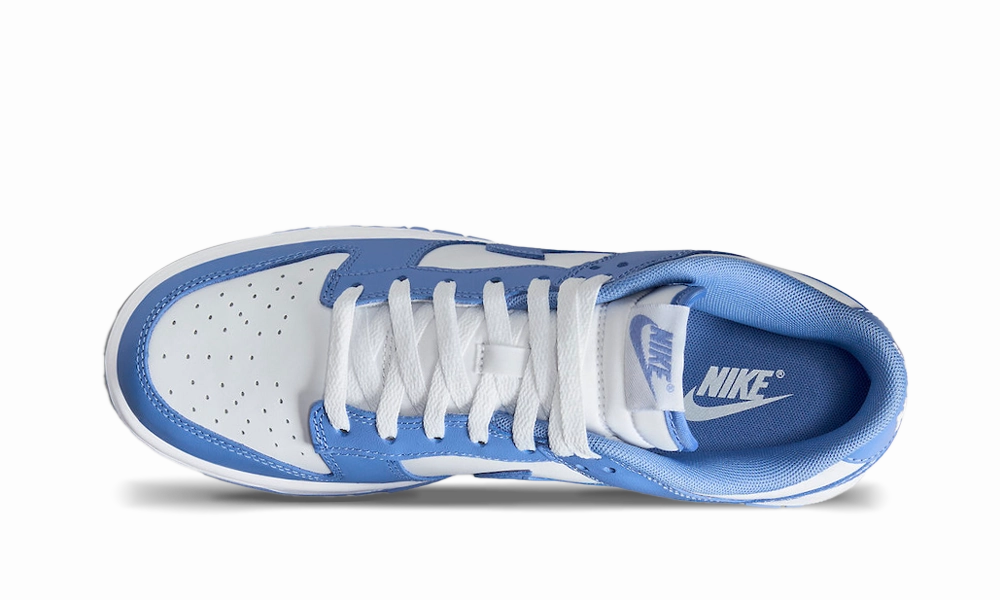 Nike Dunk Low Polar Blue single - layer sole shoes boxing shoes
