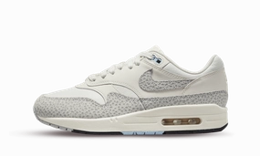 Nike Air Max 1 Summit White Phantom (W) Foam Insole