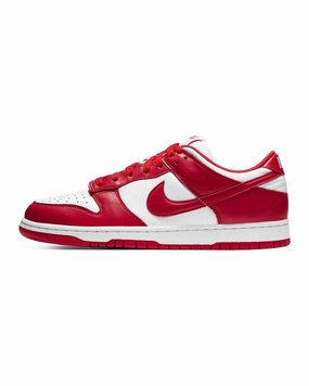Versatile Fit Nike Dunk Low SP St. John's